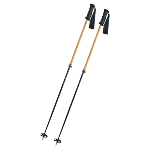 RTC Skistöcke Vario