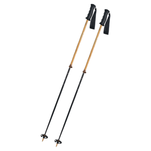 RTC Skistöcke Vario